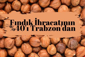 FINDIK İHRACTINDA LİDER TRABZON